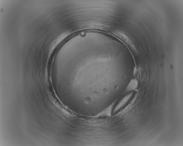 X0000076330780200610161708