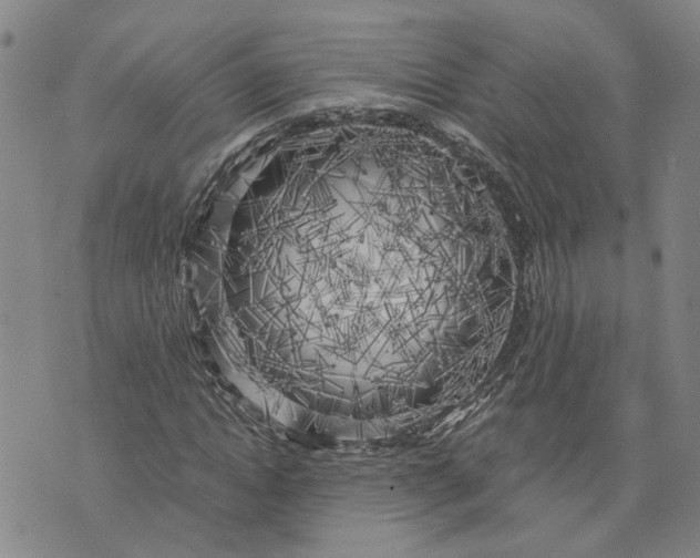 X0000076330822200610161706