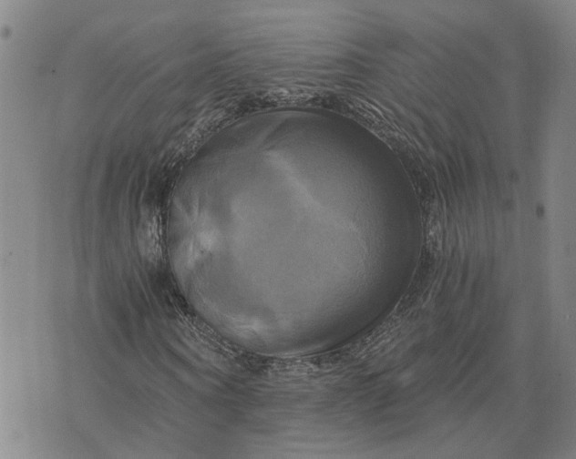 X0000076330866200610161706