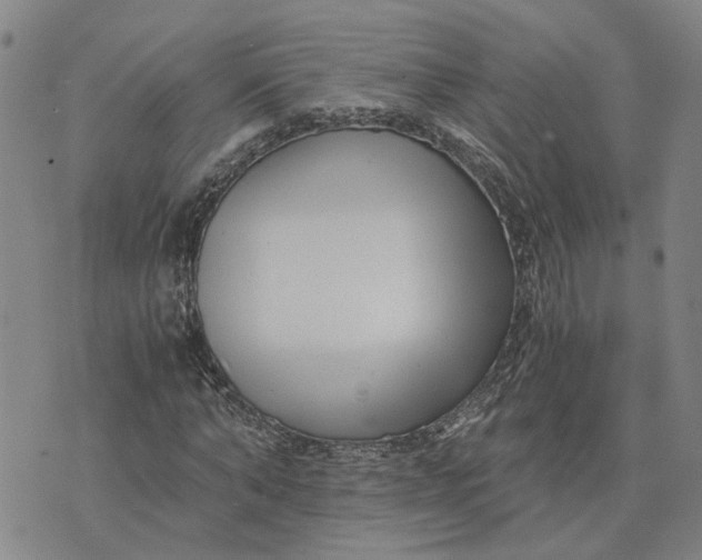 X0000076330870200610161706