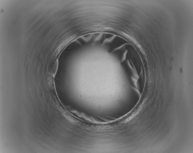 X0000076330889200610161706