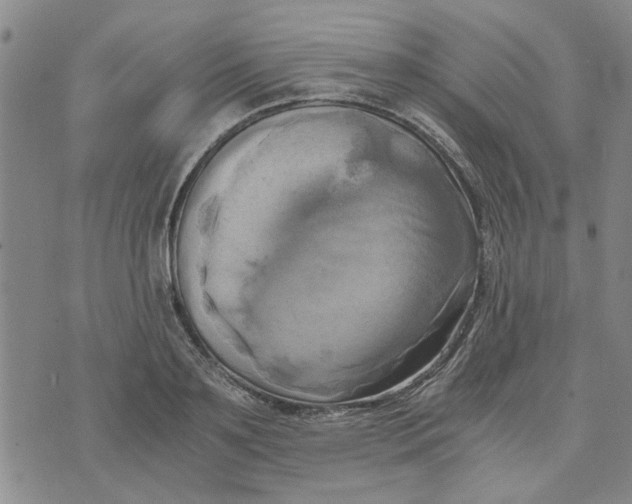 X0000076330891200610161706