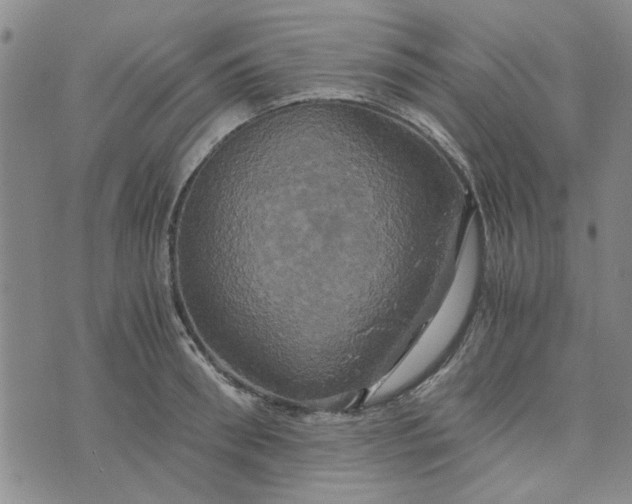 X0000076330898200610161706