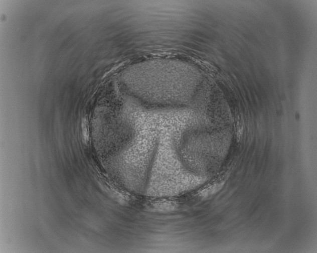 X0000076330962200610161705