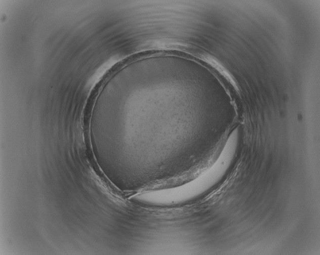 X0000076330972200610161704