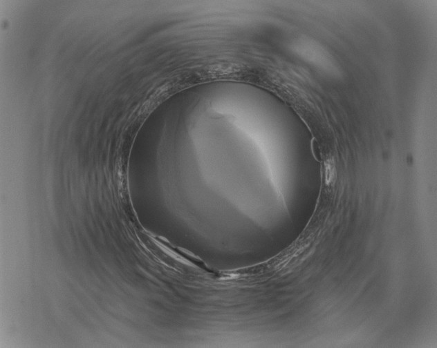X0000076331011200610161703