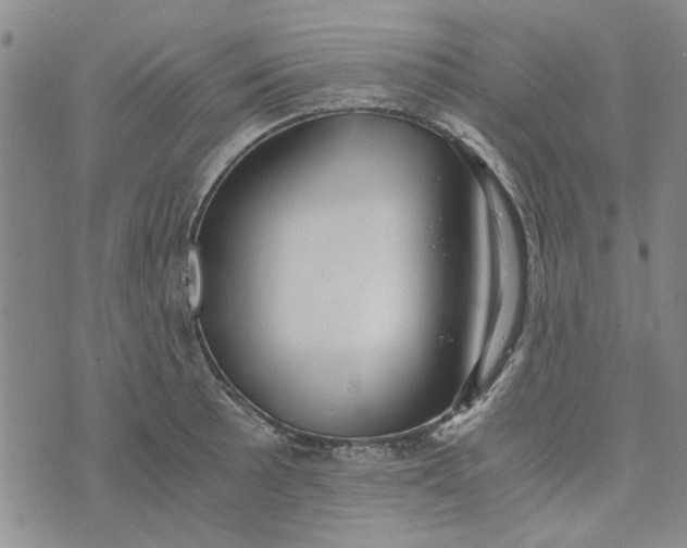 X0000076331089200610161703
