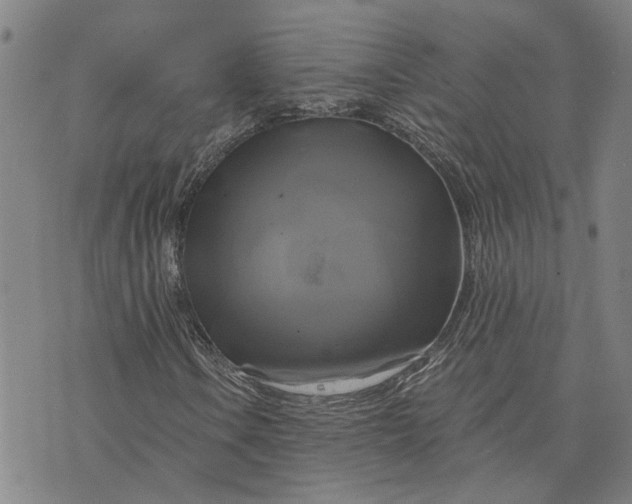 X0000076331106200610161702