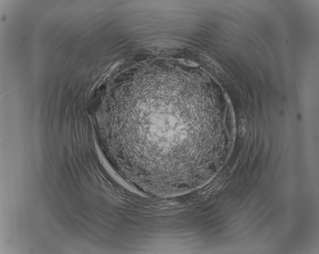 X0000076331108200610161702