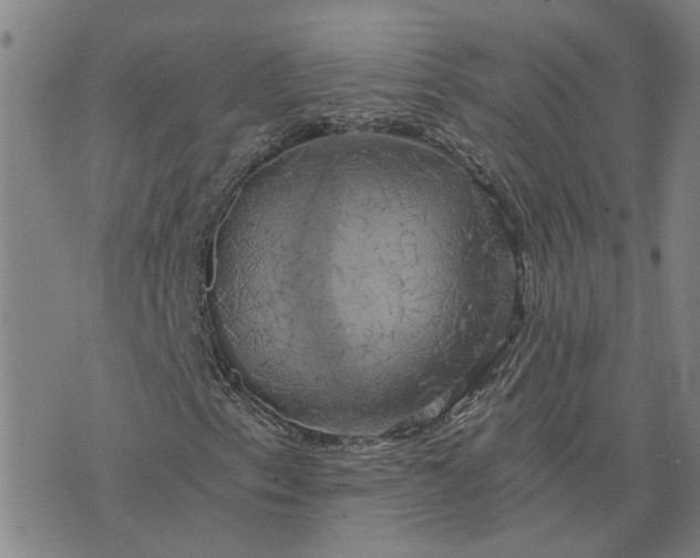 X0000076331153200610161701