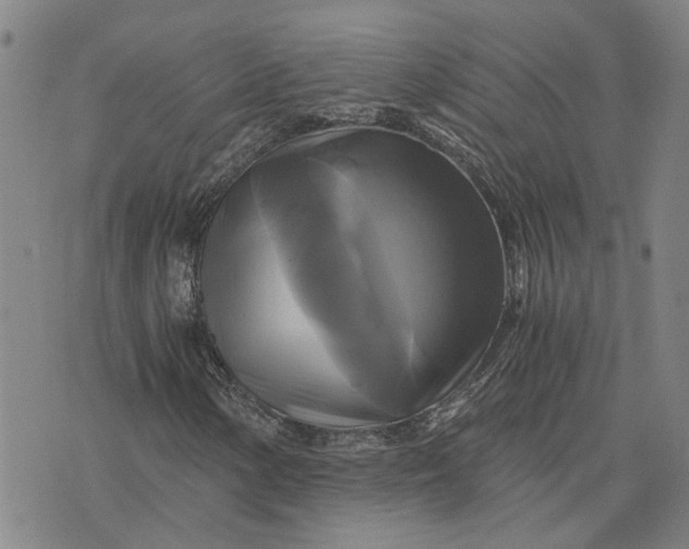 X0000076331154200610161701