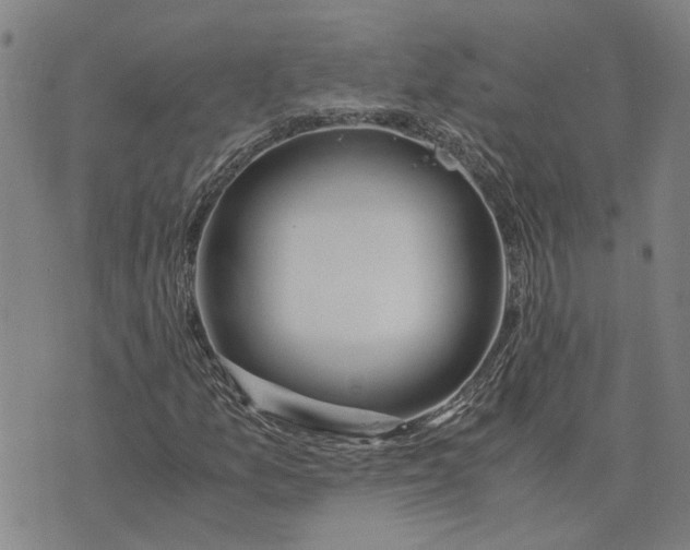 X0000076331157200610161701