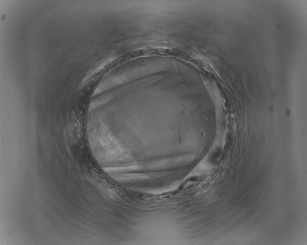 X0000076331159200610161701