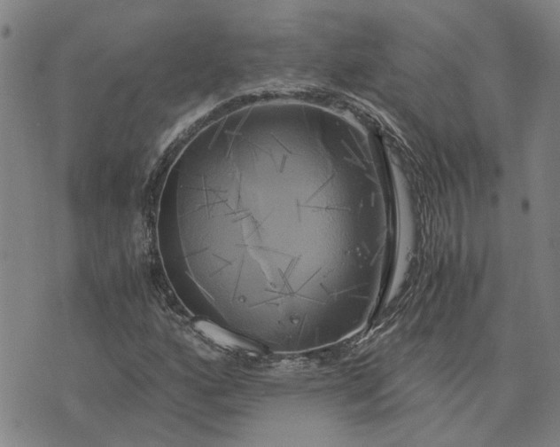 X0000076331160200610161701