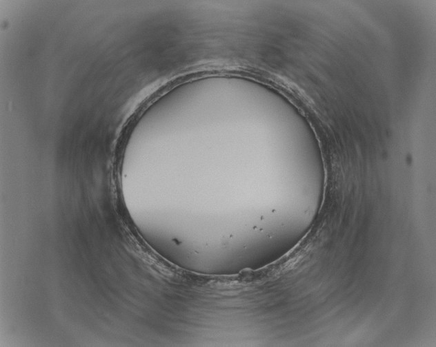 X0000076331168200610161701