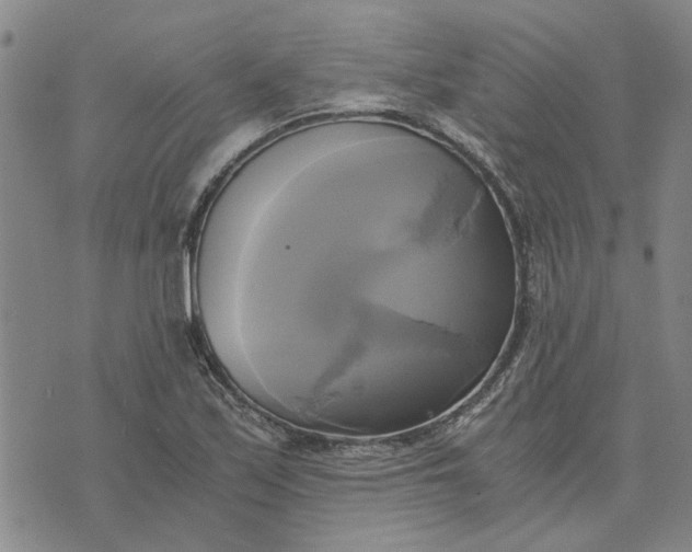 X0000076331171200610161701