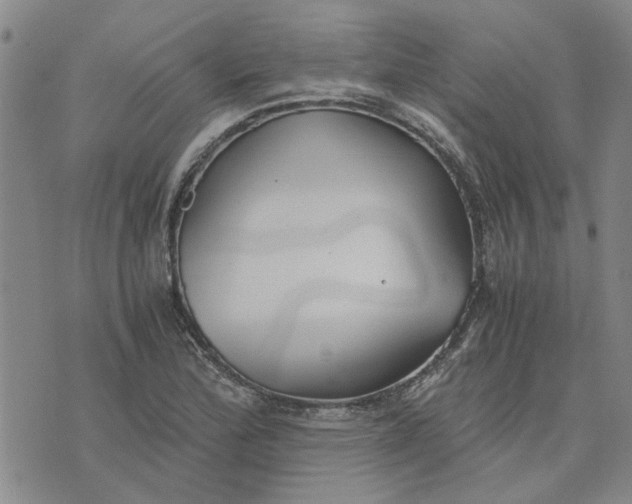 X0000076331172200610161701