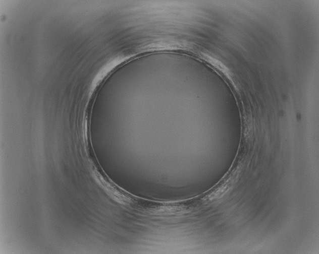 X0000076331179200610161701