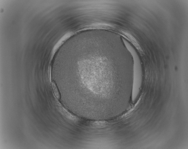 X0000076331180200610161701