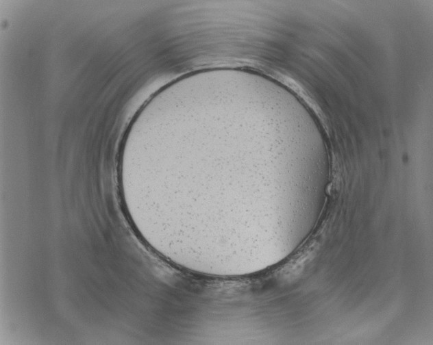 X0000076331187200610161701