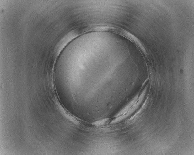 X0000076331194200610161701