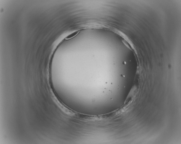 X0000076331195200610161701