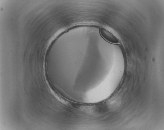 X0000076331237200610161701