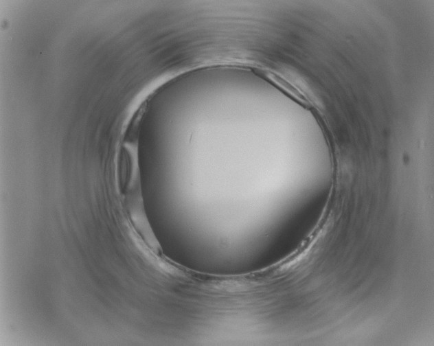 X0000076331246200610161701