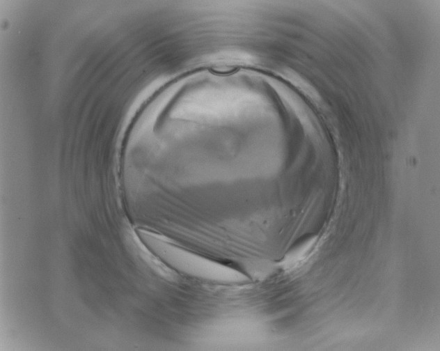 X0000076331248200610161701