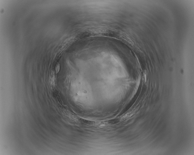 X0000076331251200610161700