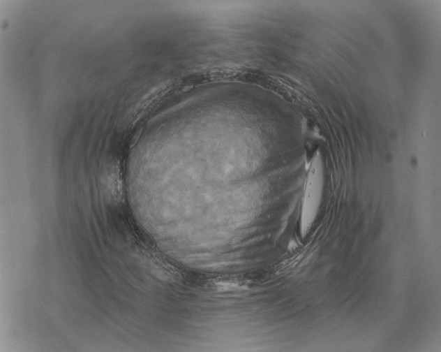 X0000076331252200610161700