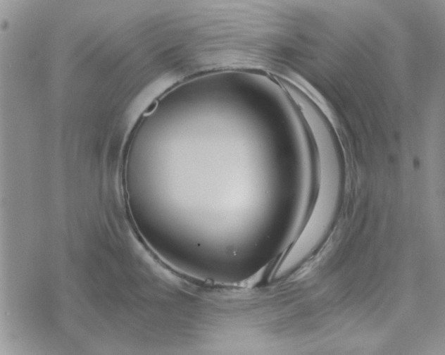 X0000076331293200610161659