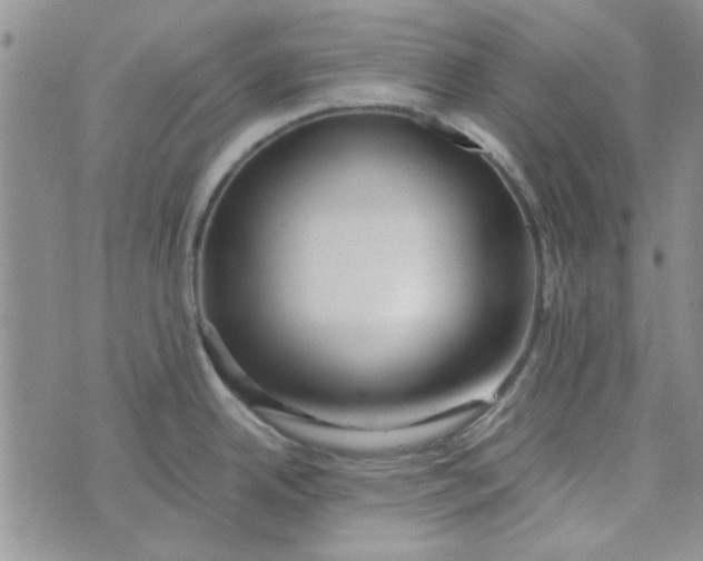 X0000076331342200610161659