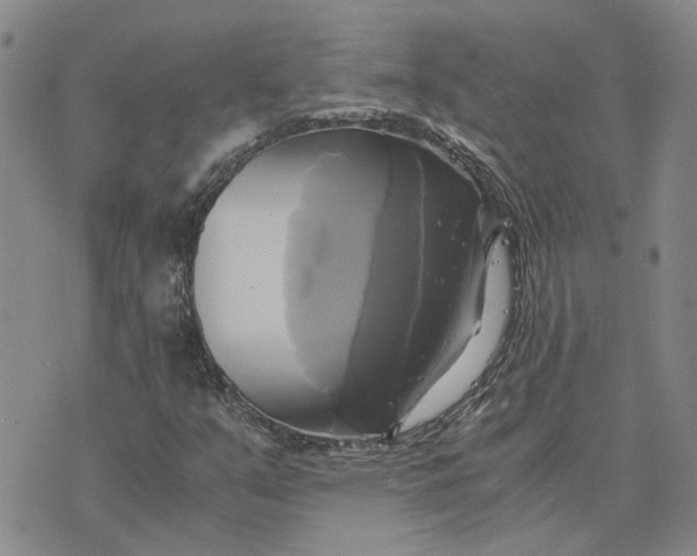 X0000076331351200610161658
