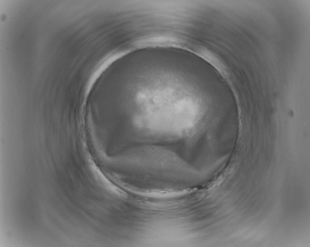 X0000076331392200610161658