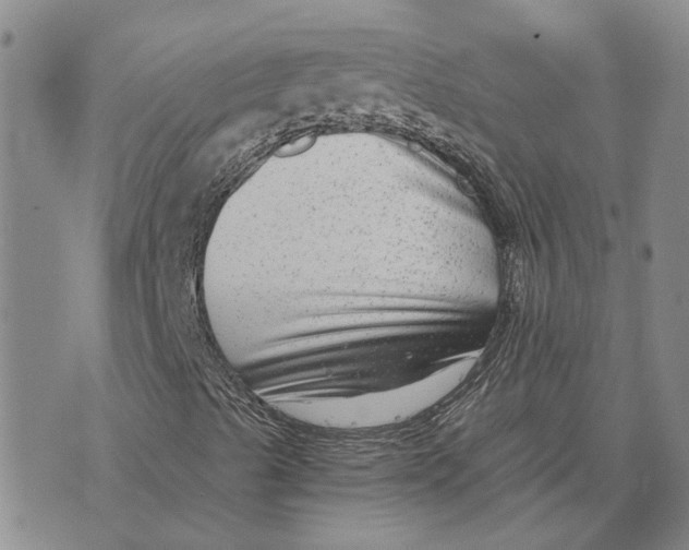 X0000076331489200610161655