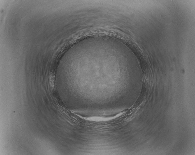 X0000076331490200610161655