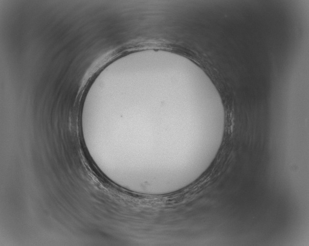 X0000076330004200610201717
