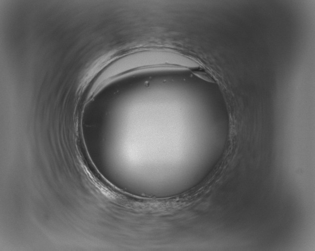 X0000076330005200610201717