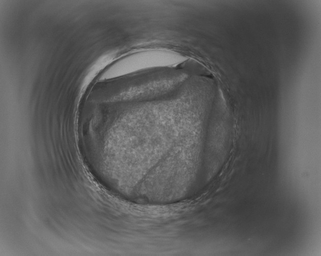 X0000076330006200610201717