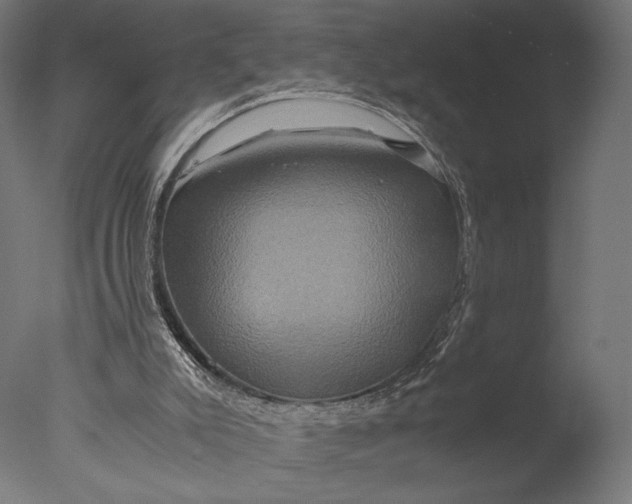 X0000076330007200610201717