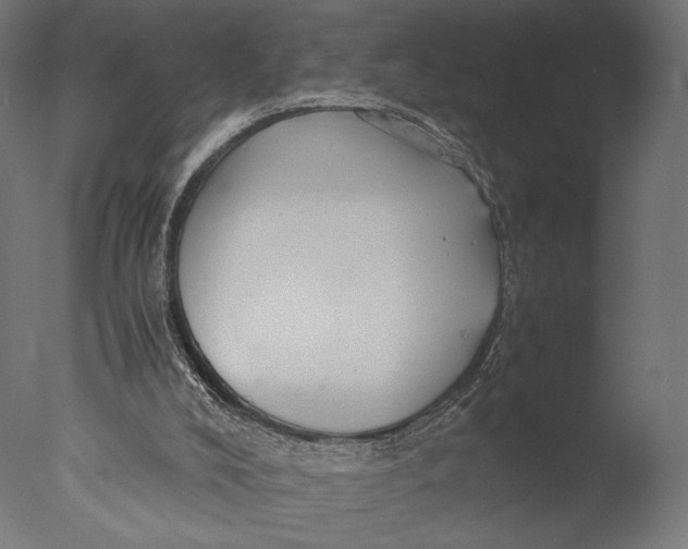 X0000076330008200610201717