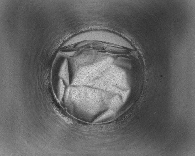 X0000076330009200610201717