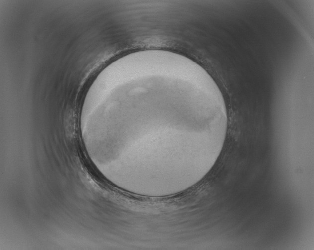 X0000076330012200610201717