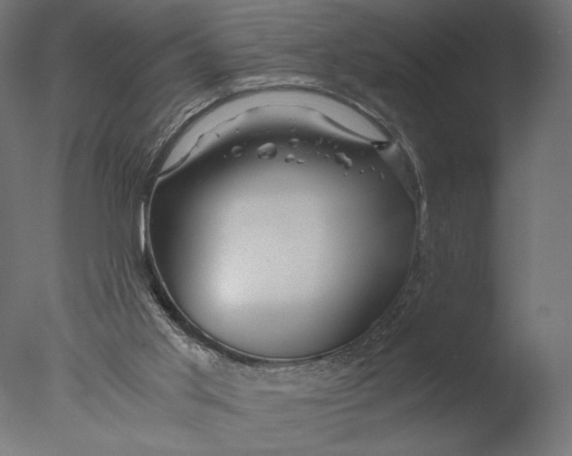 X0000076330013200610201717