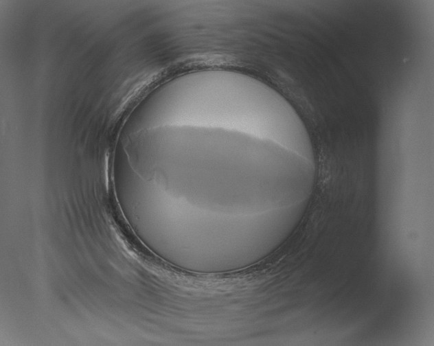 X0000076330014200610201716