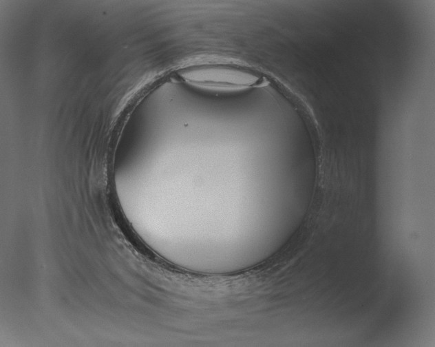 X0000076330015200610201716