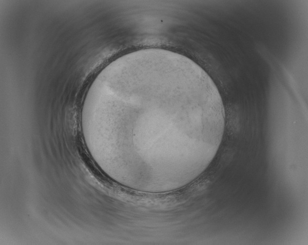 X0000076330016200610201716