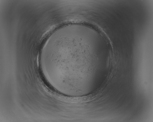 X0000076330019200610201716
