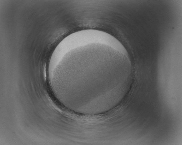 X0000076330020200610201716